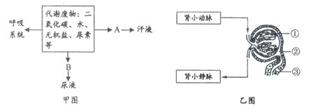 下图是人体消化,呼吸,循环,排泄各系统,器官之间关系的一个示意图(①
