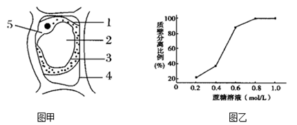 什么叫质壁分离现象 image011.png