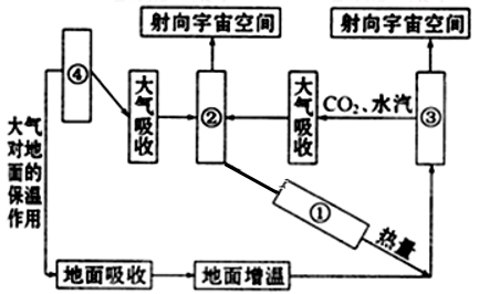 山东省微山县第二中学2019-2020学年高三上学