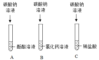 知识点选题 中和反应(1)试管a中酚酞溶液变为红色,说明碳酸钠溶液显