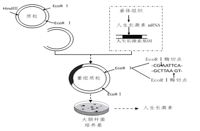 image001.png