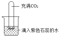 如图,将充满co2的试管倒扣在澄清的石灰水中,一段时间