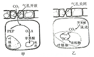 image001.png