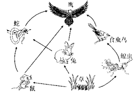 image017.png