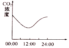 image004.png