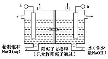 image001.jpg