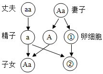 image001.png