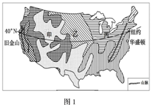 材料一:图1为"美国本土自然带分布示意图"