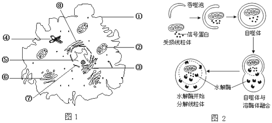 image007.png