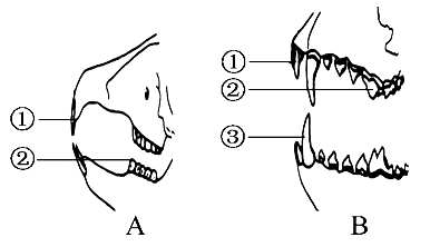 image003.png