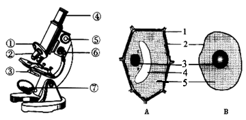 image012.png