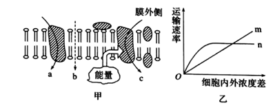下列关于物质出入细胞方式的叙述,正确的是a.耗能的一定是主动运输b.