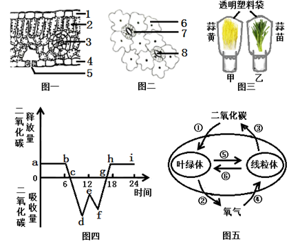 暗处理的作用 image001.png