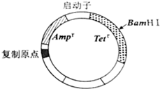 image010.png
