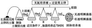 请据图回答(已知莠去津在水中溶解度低,含过量莠去津的固体培养基不