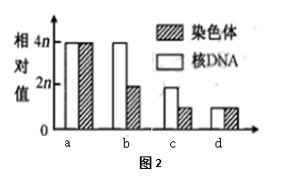 image002.png
