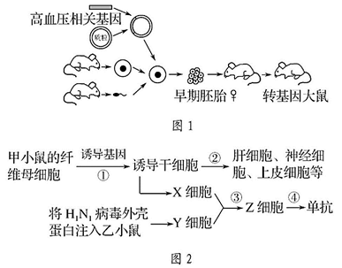 什么是动物细胞融合 image001.png