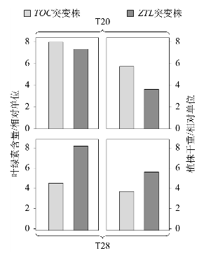 image001.png