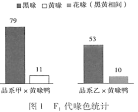 image001.png