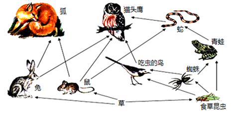 image019.png