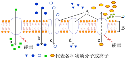 image001.png