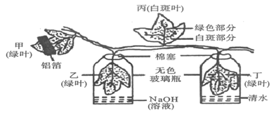 image013.png