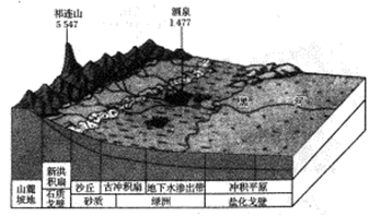 高中地理综合库 自然地理 地表形态的塑造 河流地貌的发育