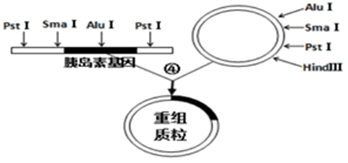 image008.png