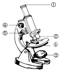 image013.png