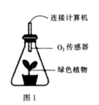 image003.png