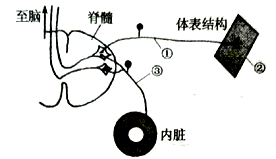 image003.png