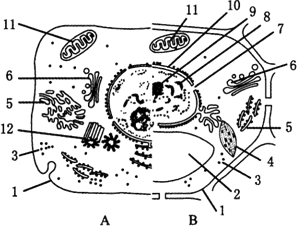 image006.png