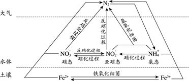 (1)上图所示氮循环中,属于氮的固定的有________(填字母序