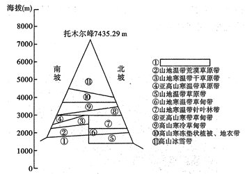 下图是我国北纬30°植被叶面积指数变化示意图(叶面积