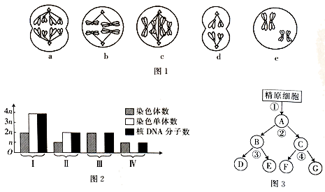 image013.png