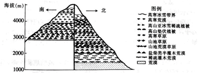 3m,为天山最高峰.下图为托木尔峰垂直自然带谱示意图.