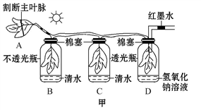 image001.png