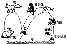 image034.png