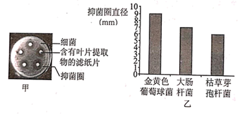 image027.png