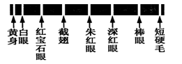 基因位于染色体上的实验证据