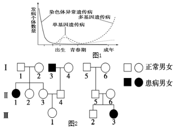 人类遗传病