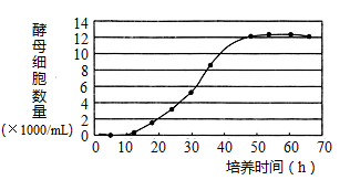 在"探究酵母菌种群数量的动态变化"实验中,血细胞计数板上细胞数目不