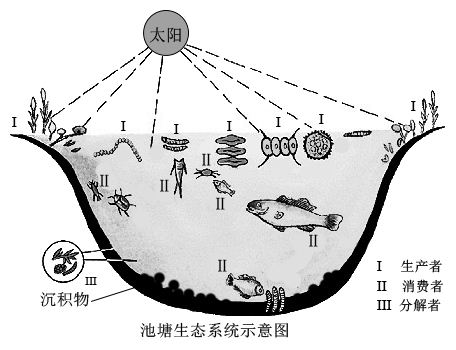 生物入侵者教案_人教版初一生物下册教案全册下载_生物教案下载