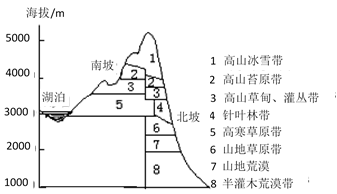 读祁连山东端山地垂直带谱示意图,完成下面小题.