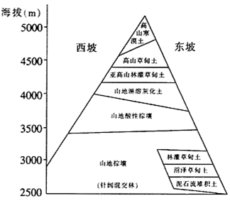 在理论上,垂直自然带与相应水平自然带有下图所示对应