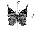 蝴蝶标本可以近似地看做轴对称图形.