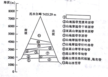 自然地理环境的差异性 山地的垂直地域分异规律 影响山地垂直带谱的