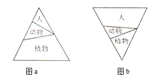 image011.png
