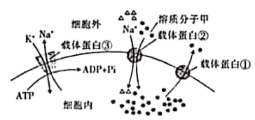 image008.png
