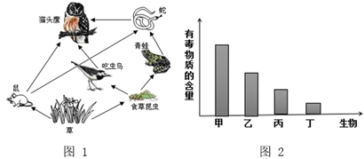 image017.png